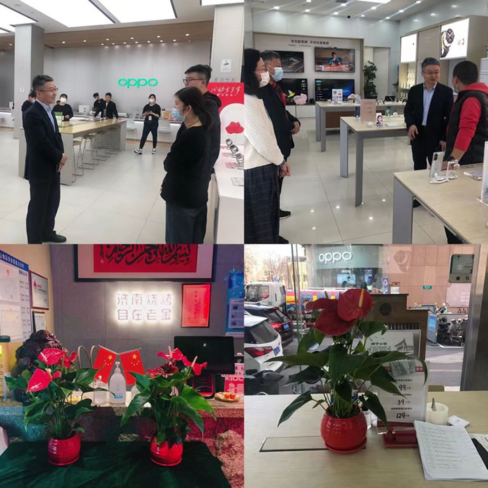 輕工供銷公司開展“播種綠色，贈送綠植”活動
